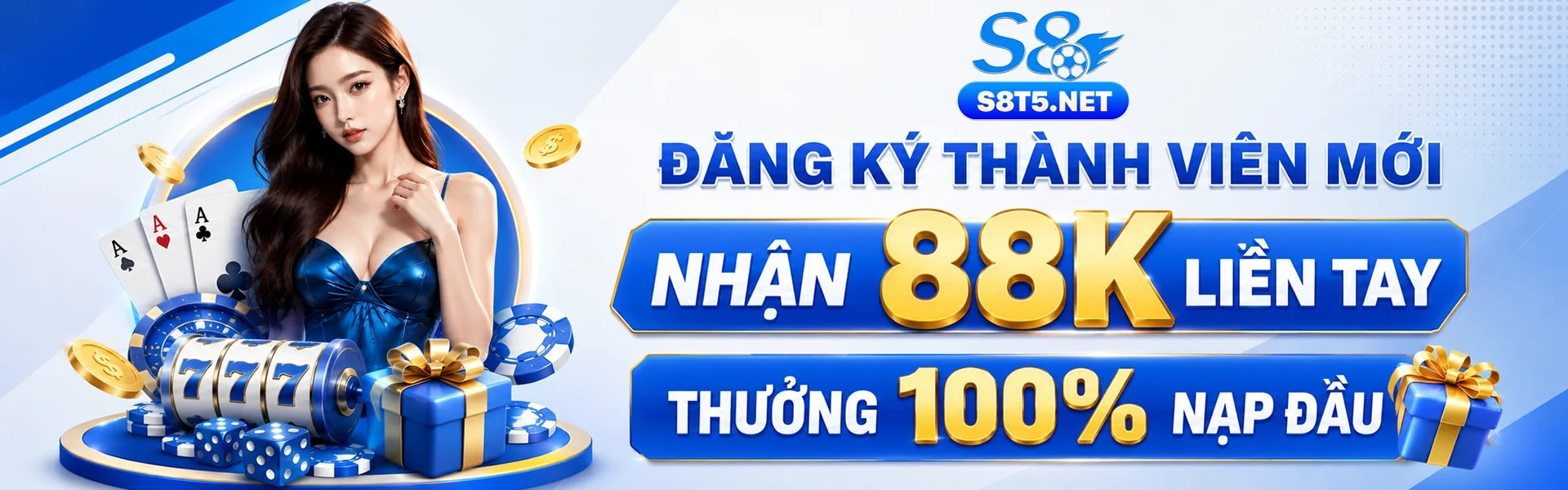 banner for s8t5net
