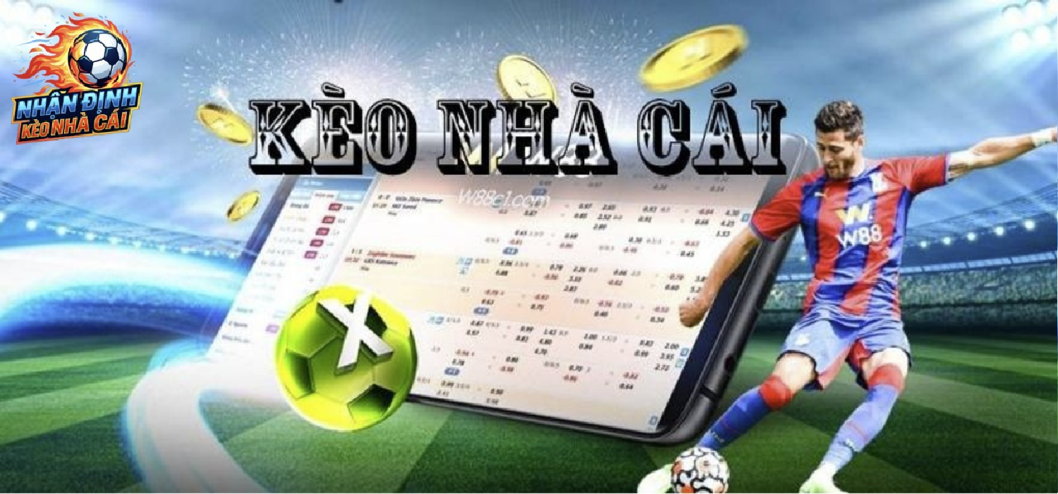 banner for nhandinhnhacaicom