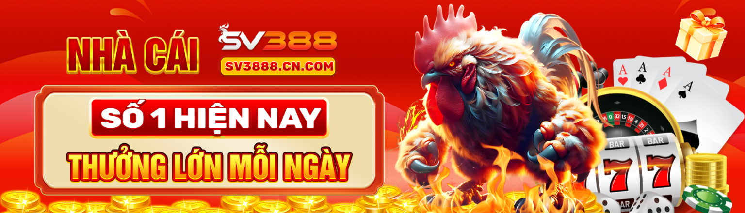 banner for sallurguakal@outlook.com