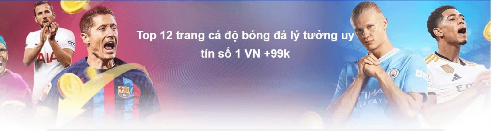 banner for trcadobongdalt