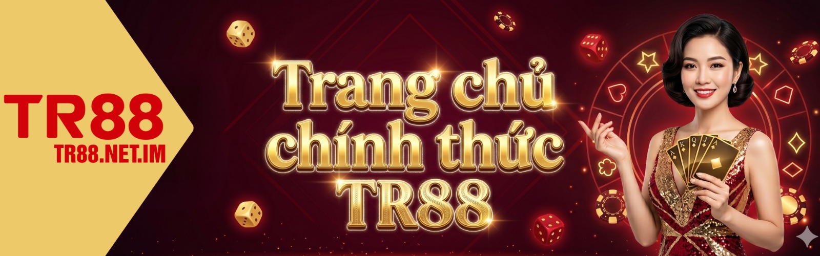 banner for tr88netim