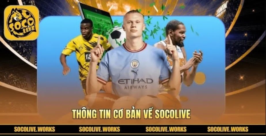 banner for socoliveworks